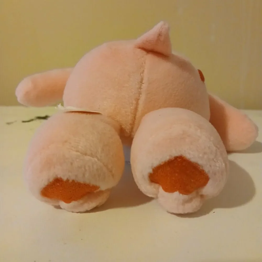 Care Bears Set of 2 Cheer Bears Pink Stuffed Plush Animal Toy Dolls 10